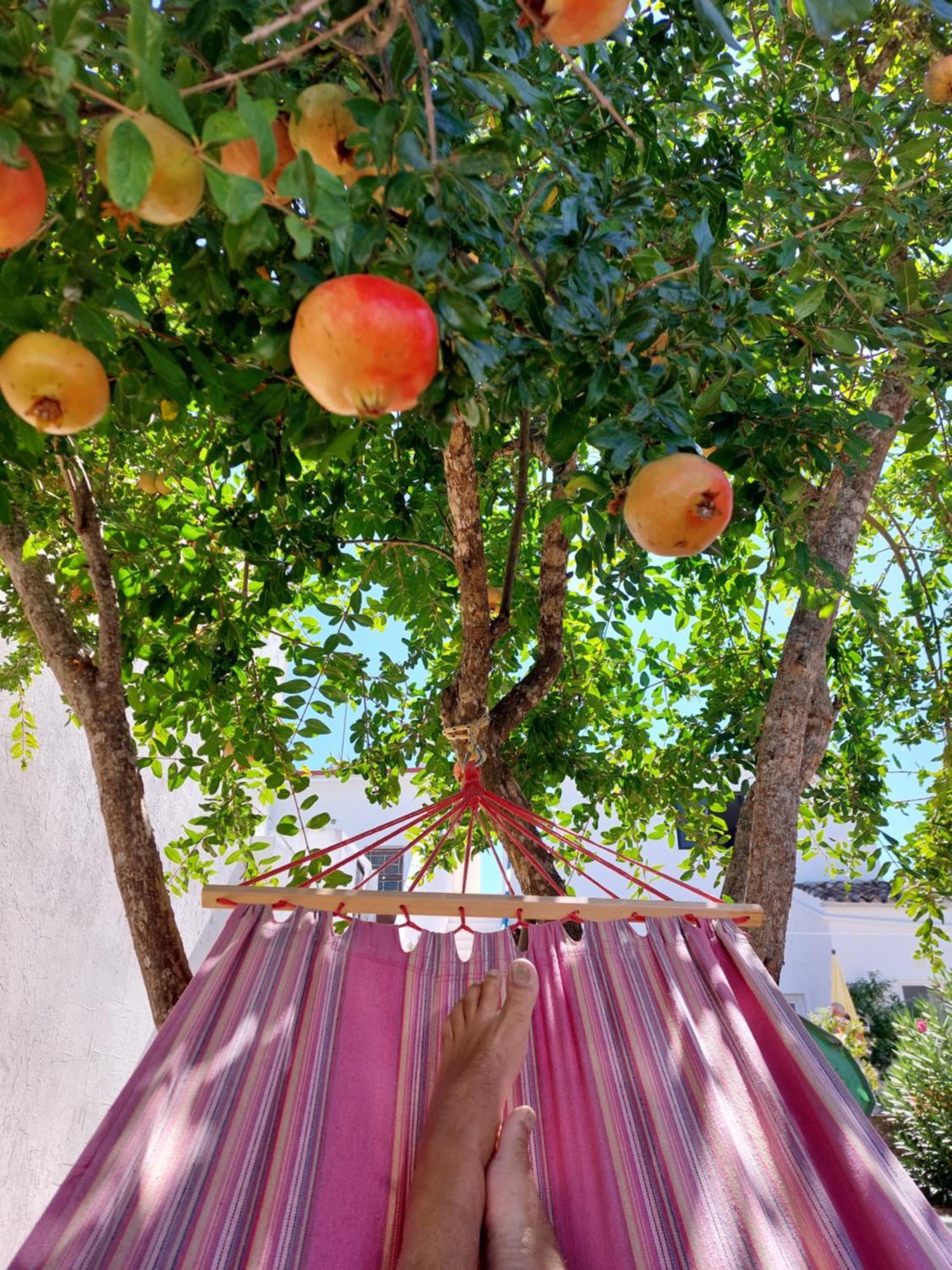 "Oliveiras" Appartement Typique Avec Terrasse Et Piscine Лоле Экстерьер фото